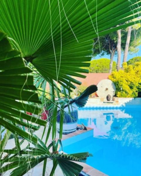 Hébergement insolite studio Grau du Roi Mas des Marines Piscine